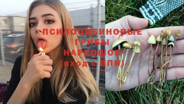 2c-b Алексин