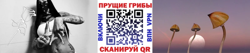 Псилоцибиновые грибы Psilocybine cubensis  omg зеркало  Ермолино  где купить наркотик 